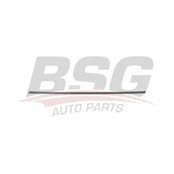 Baguette et bande protectrice, porte avant gauche BSG BSG 90-924-049