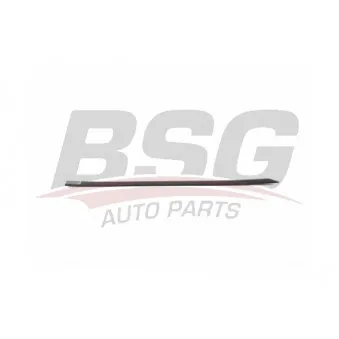 Baguette et bande protectrice, porte arrière droit BSG BSG 90-924-052