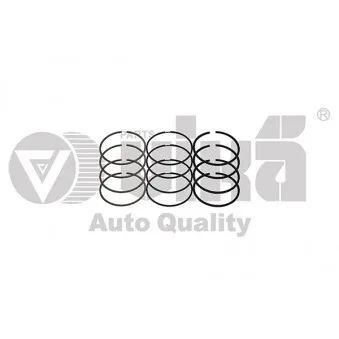 Jeu de segments de pistons VIKA 11981543301
