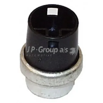 Sonde de température, liquide de refroidissement JP GROUP 1193100600