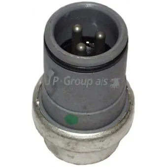 Sonde de température, liquide de refroidissement JP GROUP 1193101100