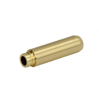 Guide de soupape FRECCIA G11523