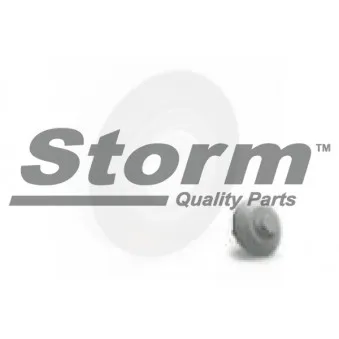 Vis de poulie Storm