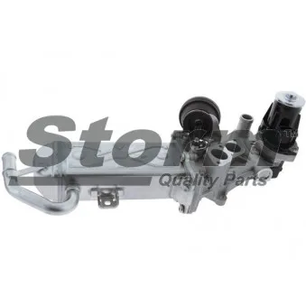 Vanne EGR Storm