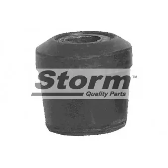 Suspension, corps de l'essieu Storm