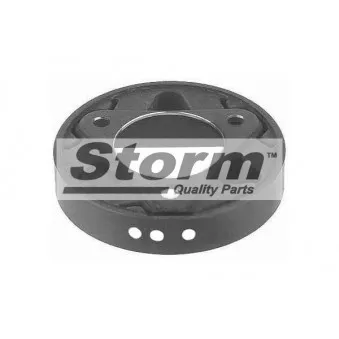 Joint, arbre longitudinal Storm