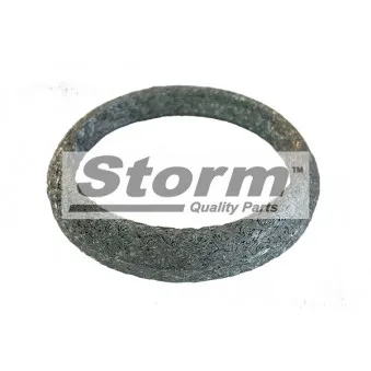 Joint d'étanchéité, tuyau d'échappement Storm