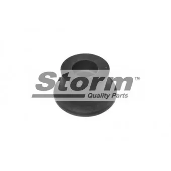 Support, suspension du moteur Storm