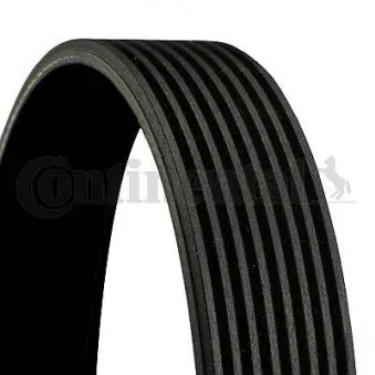 Courroie trapézoïdale à nervures CONTITECH 8PK954 EXTRA