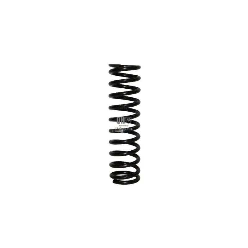 Ressort de suspension JP GROUP 1342200800