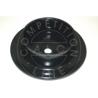 Patin de ressort AIC 50200