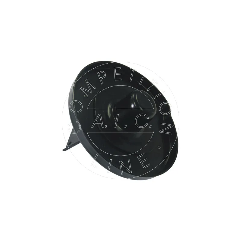 Patin de ressort arrière droit AIC 53192