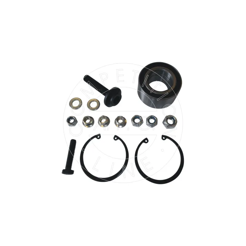 Kit de roulements de roue AIC 54821
