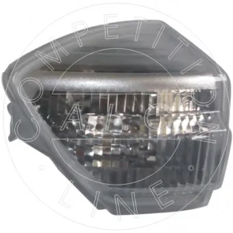 Feu clignotant AIC 55458