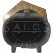 Capteur, température de l'air d'admission AIC 55472 - Visuel 2