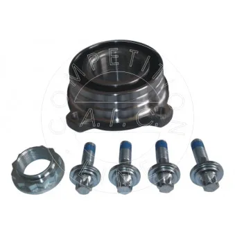 Kit de roulements de roue AIC 55852