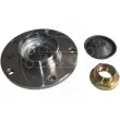 Kit de roulements de roue AIC 55873 - Visuel 1