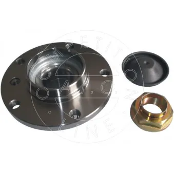 Kit de roulements de roue AIC 55873