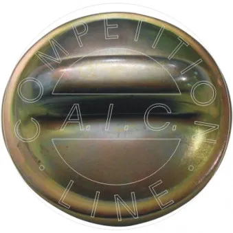 Bouchon, réservoir de carburant AIC 56032