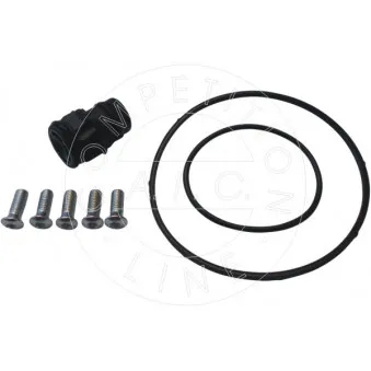 Kit de réparation, pompe à vide (freinage) AIC 56249