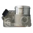 Corps papillon AIC 56697 - Visuel 3