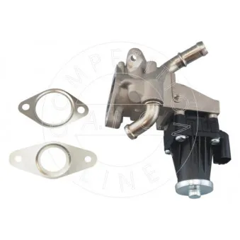 Vanne EGR AIC 58039