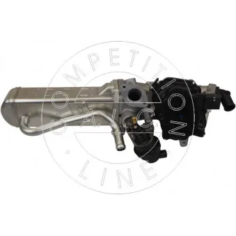 Module-EGR AIC 58055