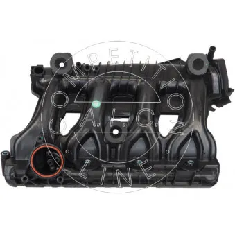 Module de tube d'admission AIC 58145