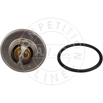 Thermostat, liquide de refroidissement AIC 58254