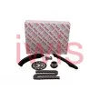 Kit de distribution par chaîne AIC 70010Set - Visuel 1