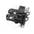 Serrure de hayon AIC 70855 - Visuel 3