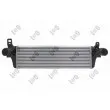 Intercooler, échangeur ABAKUS 053-018-0020 - Visuel 1