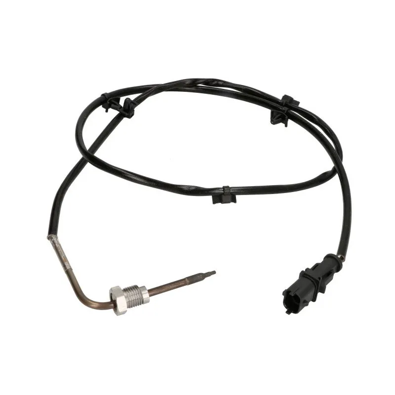 Capteur, température des gaz DELPHI TS30243