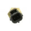 Sonde de température, liquide de refroidissement DELPHI TS10506 - Visuel 2