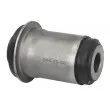 Silent bloc de suspension (train avant) DELPHI TD1764W - Visuel 1