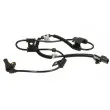 Capteur, vitesse de roue DELPHI SS20513 - Visuel 1