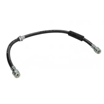 Flexible de frein DELPHI