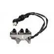 Bobine d'allumage DELPHI GN10806-12B1 - Visuel 3