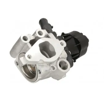 Vanne EGR DELPHI EG10482-12B1