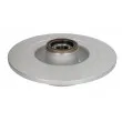 Jeu de 2 disques de frein arrière DELPHI BG9411RSC - Visuel 2