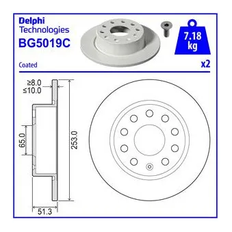 Jeu de 2 disques de frein arrière DELPHI BG5019C