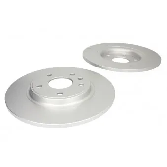 Jeu de 2 disques de frein arrière DELPHI BG4829C