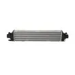 Intercooler, échangeur NRF 30174 - Visuel 3