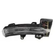 Feu clignotant BLIC 5403-43-1313106P - Visuel 1