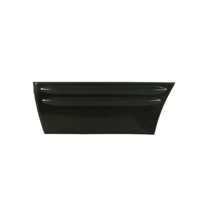 Baguette et bande protectrice, porte arrière gauche BLIC 5703-04-3204573P