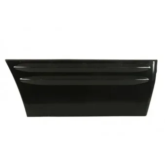 Baguette et bande protectrice, porte arrière droit BLIC 5703-04-3204574P