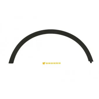 Baguette et bande protectrice, aile avant droit BLIC 5703-04-5029422Q