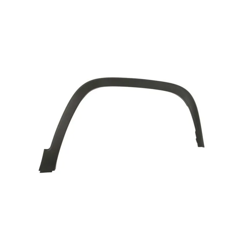Baguette et bande protectrice, aile avant droit BLIC 5703-08-3206372CP