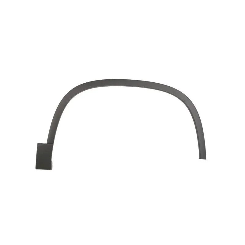 Baguette et bande protectrice, aile avant droit BLIC 5703-08-9548374P