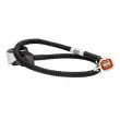 Parctronic BLIC 6006-00-0030P - Visuel 3
